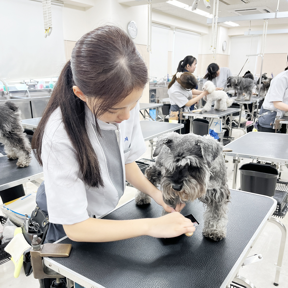 １年生のトリミング実習！